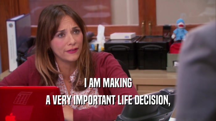 I AM MAKING A VERY IMPORTANT LIFE DECISION, 