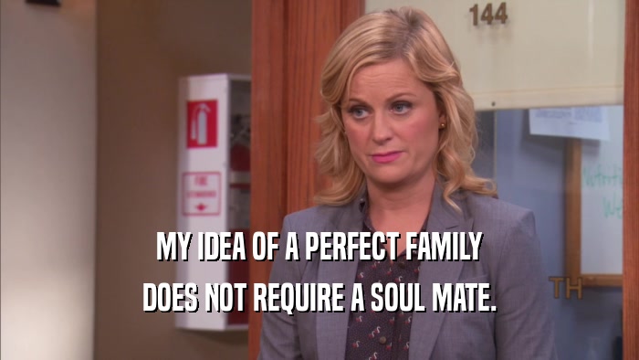 MY IDEA OF A PERFECT FAMILY DOES NOT REQUIRE A SOUL MATE. 
