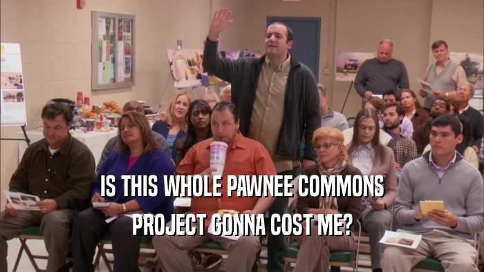 IS THIS WHOLE PAWNEE COMMONS PROJECT GONNA COST ME? 