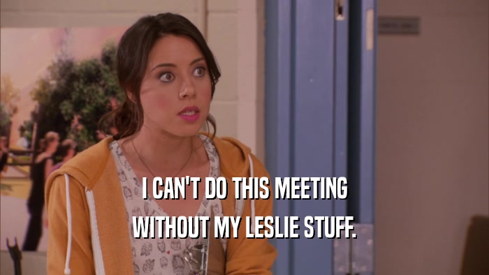 I CAN'T DO THIS MEETING WITHOUT MY LESLIE STUFF. 