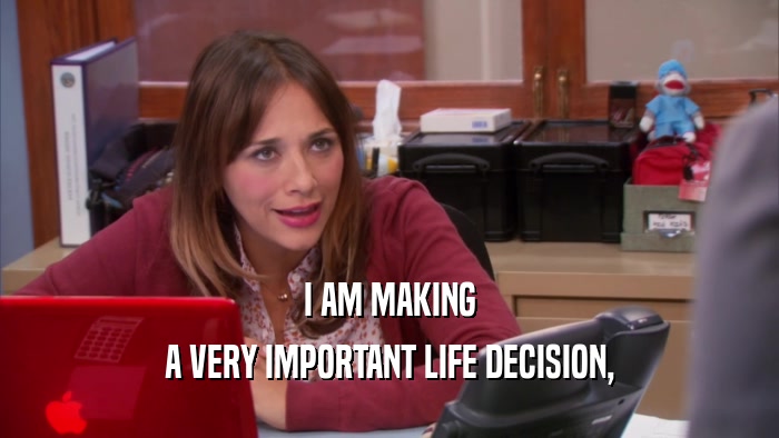 I AM MAKING A VERY IMPORTANT LIFE DECISION, 