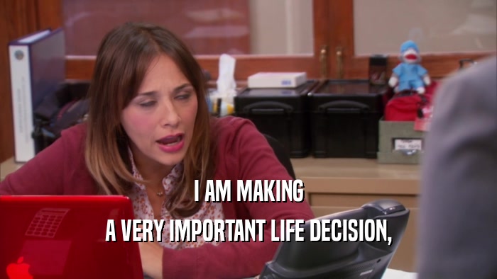 I AM MAKING A VERY IMPORTANT LIFE DECISION, 