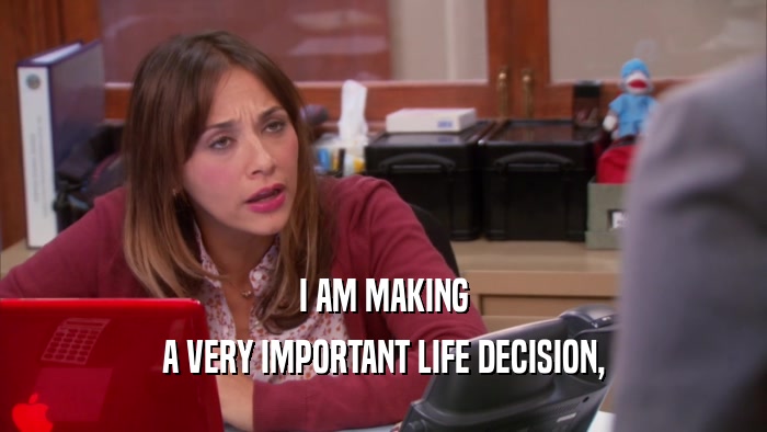 I AM MAKING A VERY IMPORTANT LIFE DECISION, 