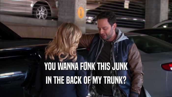 YOU WANNA FUNK THIS JUNK IN THE BACK OF MY TRUNK? 