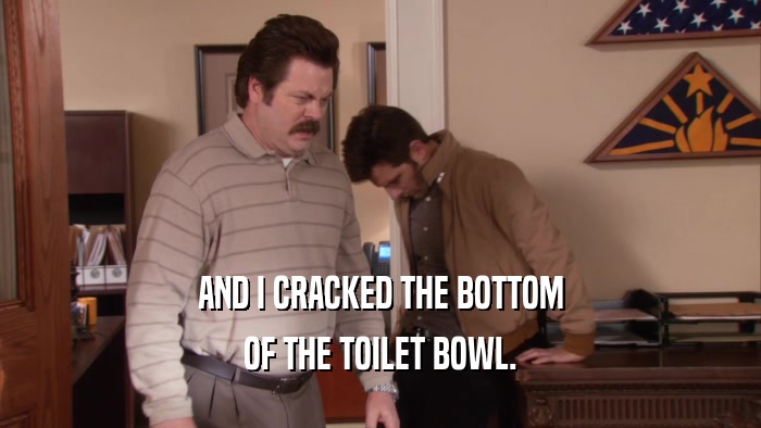 AND I CRACKED THE BOTTOM OF THE TOILET BOWL. 
