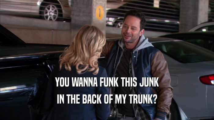 YOU WANNA FUNK THIS JUNK IN THE BACK OF MY TRUNK? 