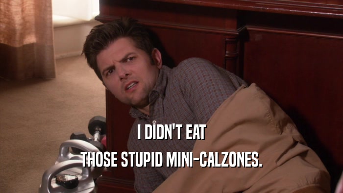 I DIDN'T EAT THOSE STUPID MINI-CALZONES. 