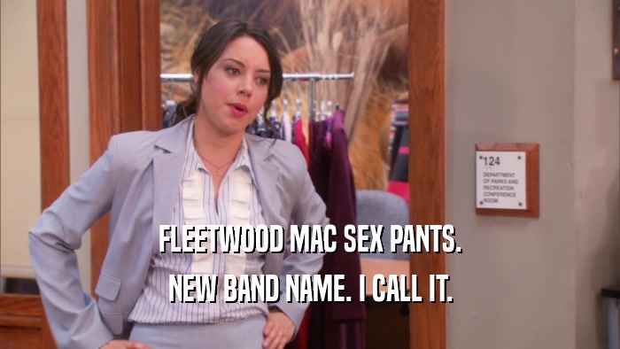 FLEETWOOD MAC SEX PANTS. NEW BAND NAME. I CALL IT. 