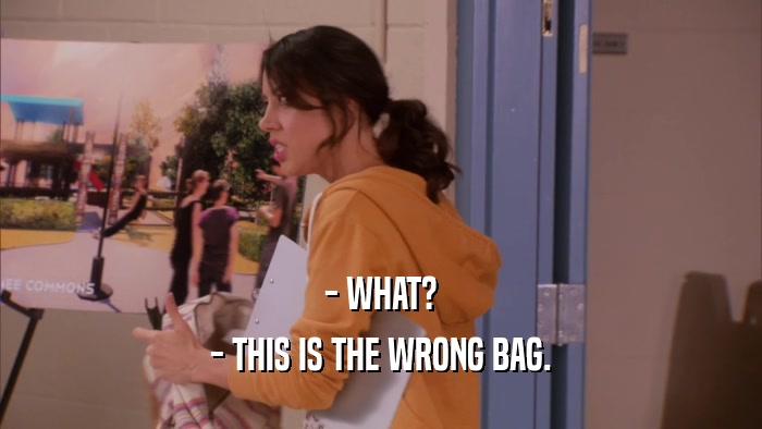 - WHAT? - THIS IS THE WRONG BAG. 