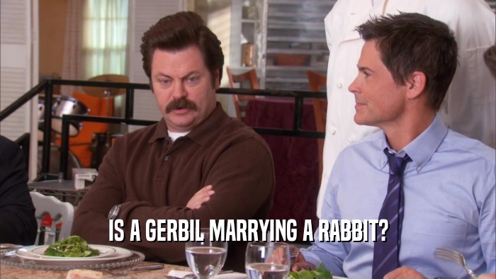 IS A GERBIL MARRYING A RABBIT?  