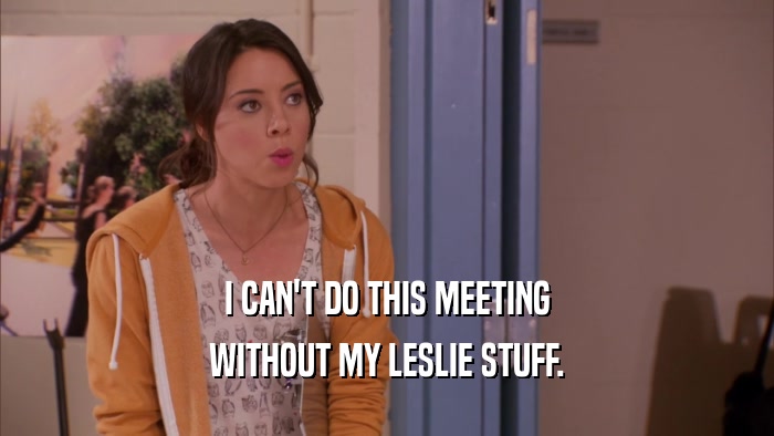 I CAN'T DO THIS MEETING WITHOUT MY LESLIE STUFF. 