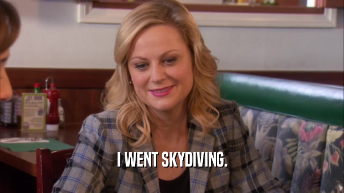 I WENT SKYDIVING.  