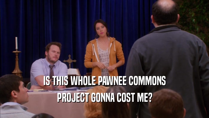 IS THIS WHOLE PAWNEE COMMONS PROJECT GONNA COST ME? 