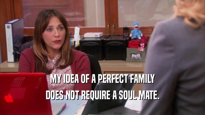 MY IDEA OF A PERFECT FAMILY DOES NOT REQUIRE A SOUL MATE. 