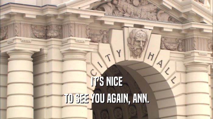 IT'S NICE TO SEE YOU AGAIN, ANN. 