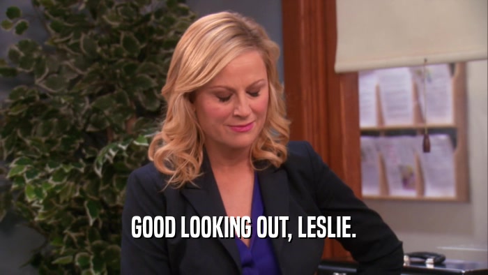 GOOD LOOKING OUT, LESLIE.  