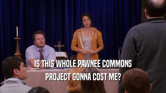 IS THIS WHOLE PAWNEE COMMONS PROJECT GONNA COST ME? 