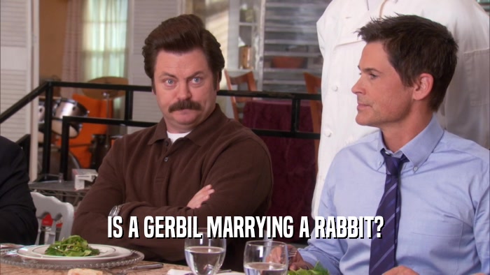 IS A GERBIL MARRYING A RABBIT?  