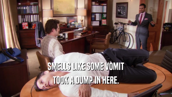 SMELLS LIKE SOME VOMIT TOOK A DUMP IN HERE. 