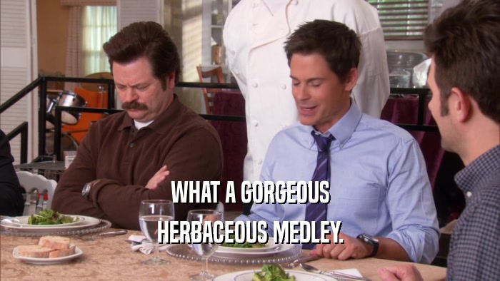 WHAT A GORGEOUS HERBACEOUS MEDLEY. 