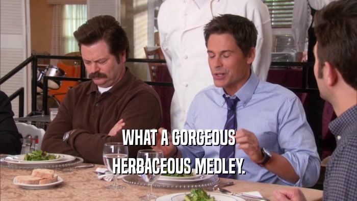 WHAT A GORGEOUS HERBACEOUS MEDLEY. 