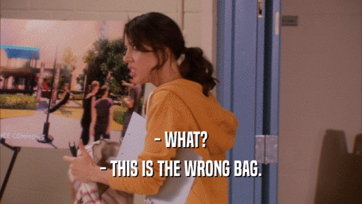 - WHAT? - THIS IS THE WRONG BAG. 