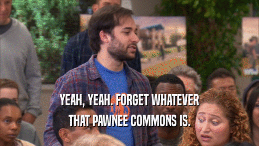 YEAH, YEAH. FORGET WHATEVER
 THAT PAWNEE COMMONS IS.
 