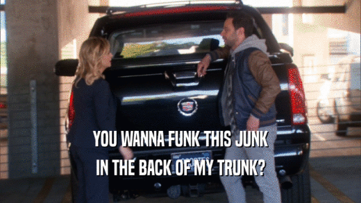 YOU WANNA FUNK THIS JUNK IN THE BACK OF MY TRUNK? 