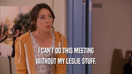 I CAN'T DO THIS MEETING WITHOUT MY LESLIE STUFF. 
