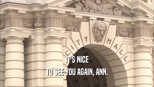 IT'S NICE TO SEE YOU AGAIN, ANN. 
