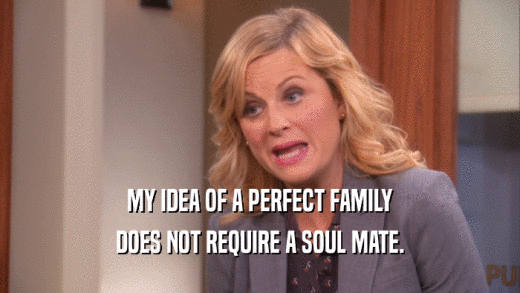 MY IDEA OF A PERFECT FAMILY DOES NOT REQUIRE A SOUL MATE. 