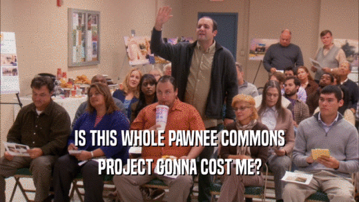 IS THIS WHOLE PAWNEE COMMONS PROJECT GONNA COST ME? 