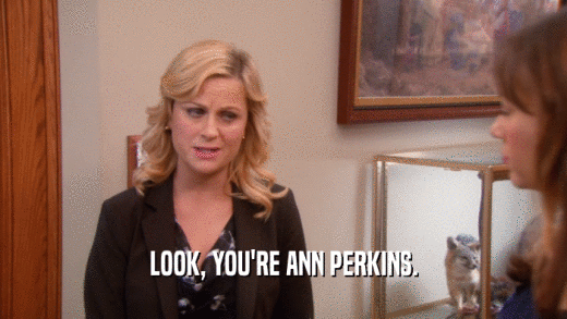 LOOK, YOU'RE ANN PERKINS.  