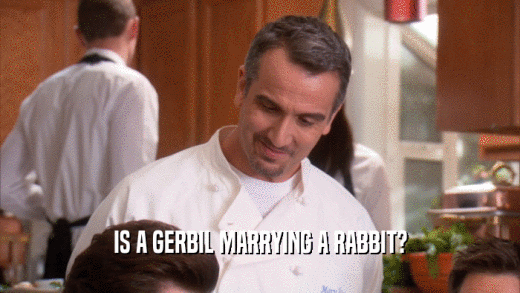 IS A GERBIL MARRYING A RABBIT?  