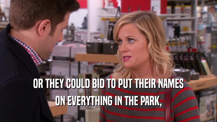 OR THEY COULD BID TO PUT THEIR NAMES ON EVERYTHING IN THE PARK, 