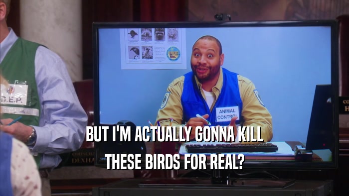 BUT I'M ACTUALLY GONNA KILL THESE BIRDS FOR REAL? 