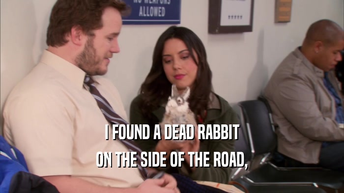 I FOUND A DEAD RABBIT ON THE SIDE OF THE ROAD, 