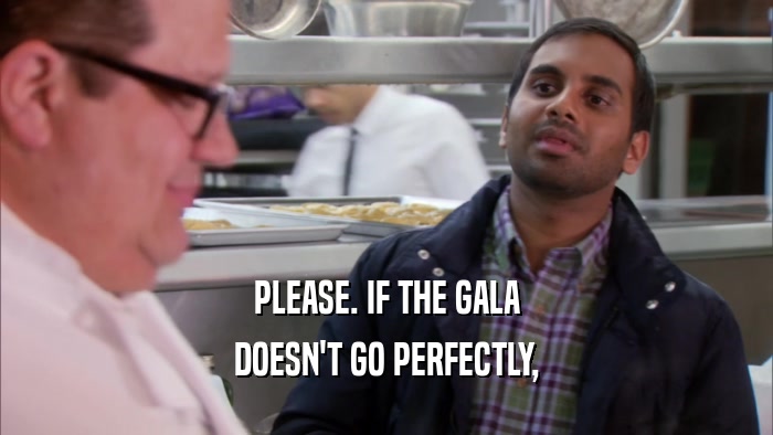 PLEASE. IF THE GALA DOESN'T GO PERFECTLY, 