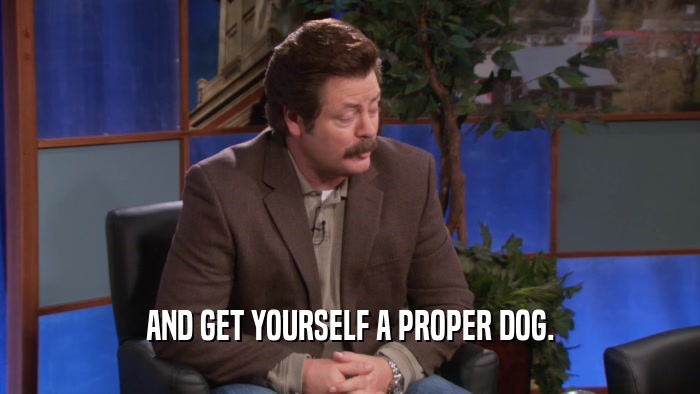 AND GET YOURSELF A PROPER DOG.  