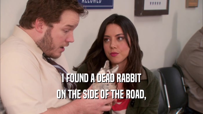 I FOUND A DEAD RABBIT ON THE SIDE OF THE ROAD, 