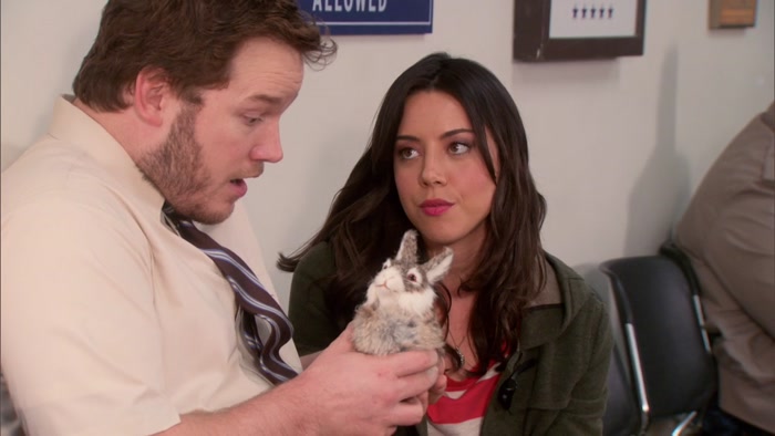 I FOUND A DEAD RABBIT ON THE SIDE OF THE ROAD, 