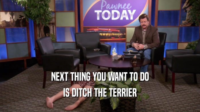 NEXT THING YOU WANT TO DO IS DITCH THE TERRIER 