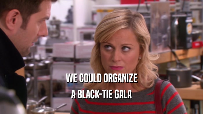 WE COULD ORGANIZE A BLACK-TIE GALA 