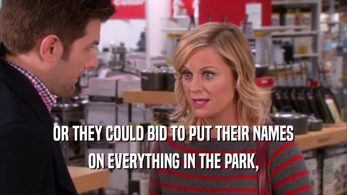 OR THEY COULD BID TO PUT THEIR NAMES ON EVERYTHING IN THE PARK, 