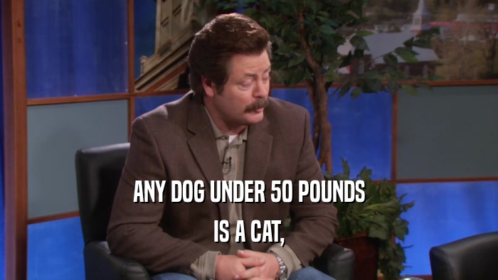 ANY DOG UNDER 50 POUNDS IS A CAT, 
