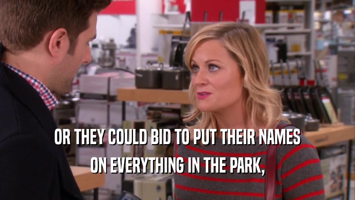OR THEY COULD BID TO PUT THEIR NAMES ON EVERYTHING IN THE PARK, 