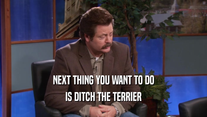 NEXT THING YOU WANT TO DO IS DITCH THE TERRIER 