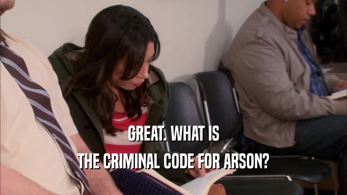 GREAT. WHAT IS THE CRIMINAL CODE FOR ARSON? 