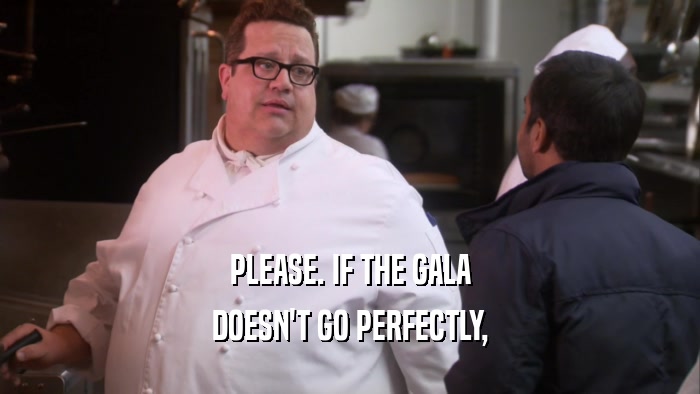 PLEASE. IF THE GALA DOESN'T GO PERFECTLY, 