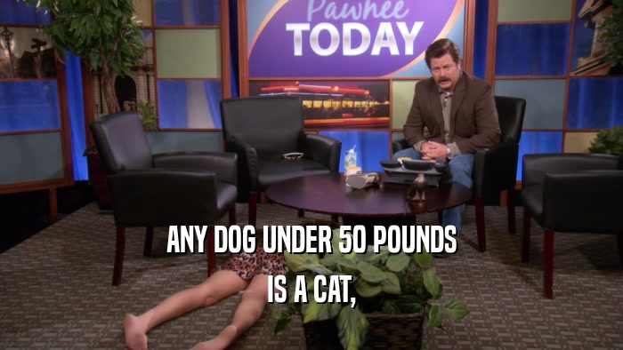ANY DOG UNDER 50 POUNDS IS A CAT, 